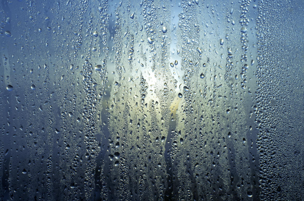 Kupas Tuntas Dehumidifier: Penjaga Kelembapan Udara Industri